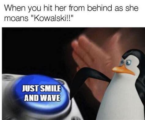 30 best kowalski memes that are funny as hell sfwfun