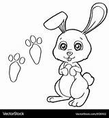 Rabbit Coloring Pages Print Vector Paw Royalty sketch template