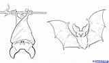Bats Bat Coloring Pages Printable Cute Kids Drawings Draw Drawing Clip Halloween Vampire Animal Print Flying Sheets Cartoon Fruit Fox sketch template