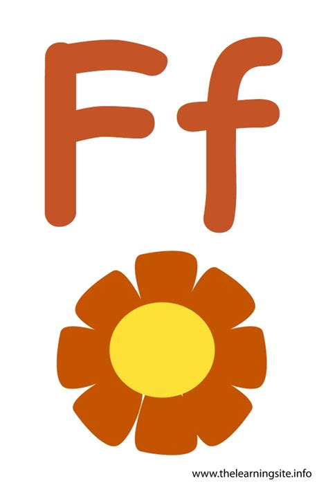 letter  flashcard flower  learning site