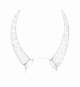 Horns Draw Drawing Animal Step sketch template