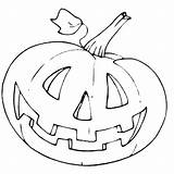 Five Little Pumpkins Coloring Pages Printable Getcolorings Getdrawings sketch template