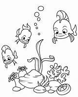 Ikan Mewarnai Sketsa Paud Nemo Kumpulan Marimewarnai Menggambar Slta Sltp Papan Pembelajaran sketch template