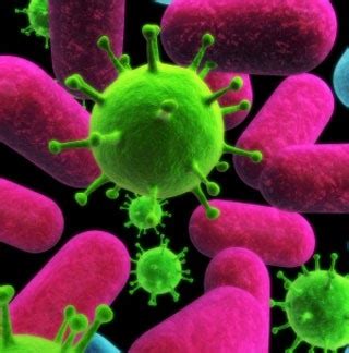 myp  grade  science blog   virus living  nonliving