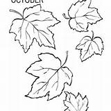 Ivy Leaves Drawing Leaf Coloring Getdrawings sketch template
