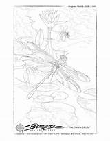Bergsma Jody Dragonflies sketch template