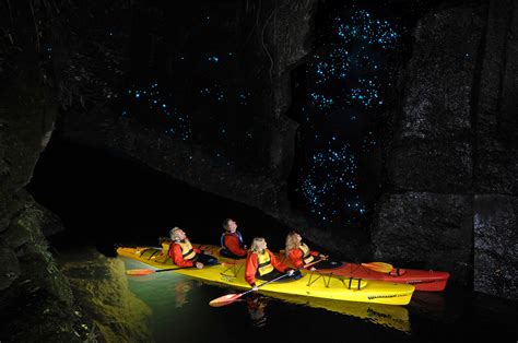 extraordinary glow worm caves   world