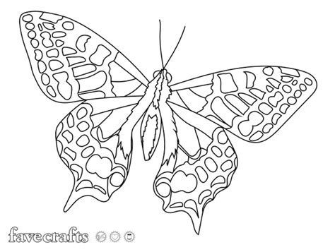 simply elegant butterfly coloring page butterfly coloring page