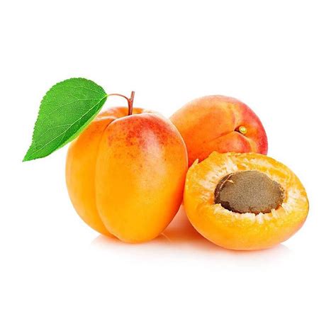 apricots oezler ziraat