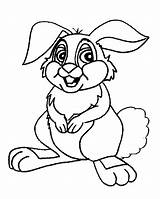Paw Cat Print Cliparts Coloring Pages Rabbit sketch template