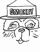 Coloring Bear Smokey Pages Popular Printable Coloringhome Library Clipart sketch template