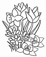 Flower Coloring Pages Printable Color Kids Print sketch template