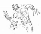 Wolverine Logan Adults Imprimir Colorir Pra sketch template