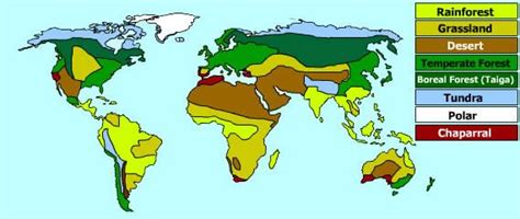 biome world map images  pinterest maps biomes  location map