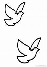 Coloring4free Silhouette Coloring Doves Confirmation Turtles Nicepng Baptism sketch template