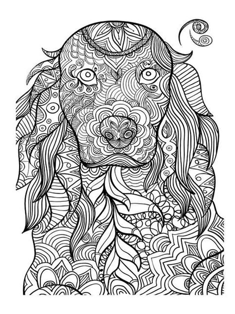 printable animal coloring pages  adults  find  animal