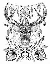 Coloring Pages Deer Spirit Adult Animal Animals Adults Printable Antler Colouring Book Crystal Books Realistic Native Detailed Tattoo American Color sketch template