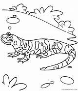 Reptile Coloring4free Gecko sketch template