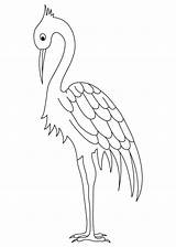 Crane Coloring Drawing Bird Long Pages Kids Legged Construction Drawings Getdrawings Choose Board Draw Comments Cranes sketch template