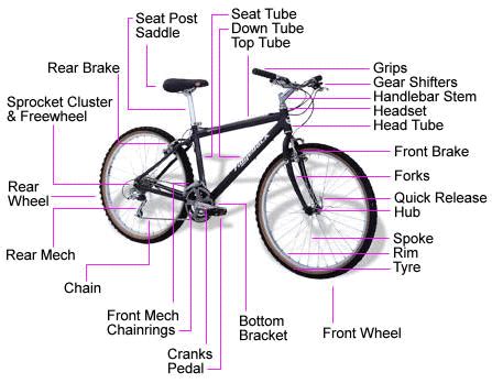 choose mountain bike buyers guide  bf