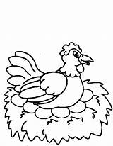 Chicken Egg Coloring Drawing Pages Hen Hatched Being Netart Hatch Kids Getdrawings sketch template