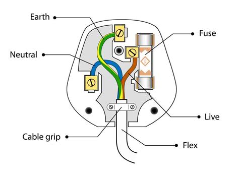 pin plug labelled diagram