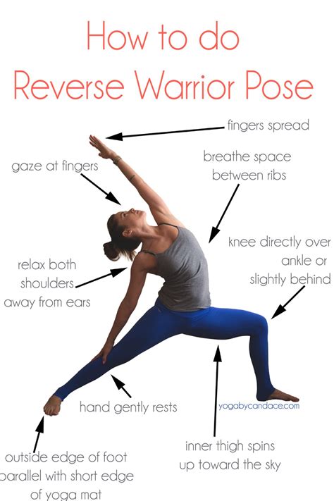 warrior poses yoga google search yoga  yoga tips yoga anatomy