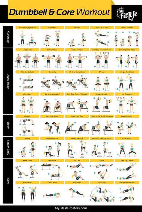 buy gym dumbbell  core workout laminated illustrated guide