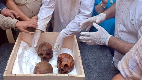 the first details of the autopsy of the black sarcophagus from alexandria earth chronicles news