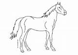 Yegua Ausmalen Cheval Coloriage Pferd Cavalo Animaux Colorier Caballos Coloriages Cavalos sketch template