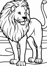 Leone Animali Disegnidacolorareonline sketch template