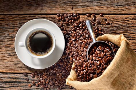 kofeina prawdy i mity co warto wiedzieć o kofeinie