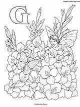 Fairy Coloring Flower Alphabet Gladiolus Magic Letter Pages sketch template