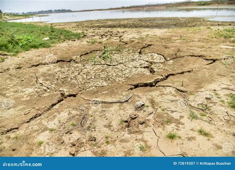 summer drought stock image image  cracked soil barren