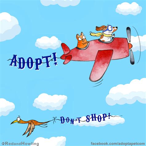 new cartoon adopt don t shop blog