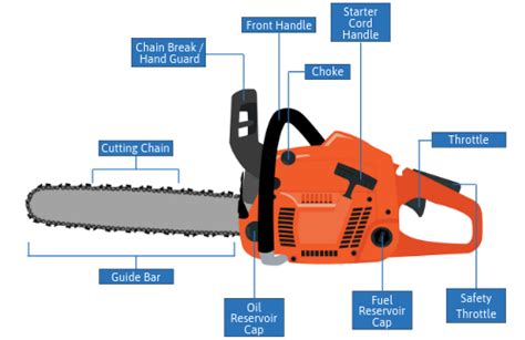 proper chainsaw safety  operation safetyskills  training
