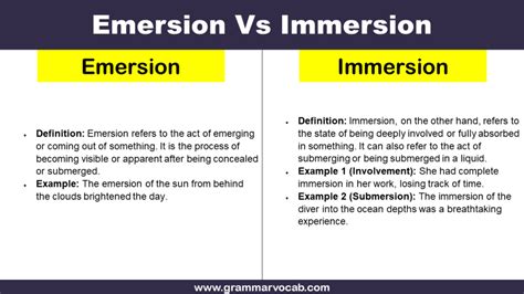 emersion  immersion key differences grammarvocab