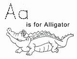 Alligator Coloring Pages Letter Printable Kids Crocodile Template Tracing Sheets Trace Preschool Print Color Sheet Alligators Baby Activity Lawteedah Worksheets sketch template
