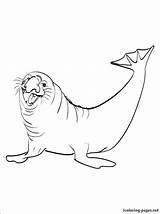 Seal Coloring Pages Leopard Getcolorings Baby sketch template
