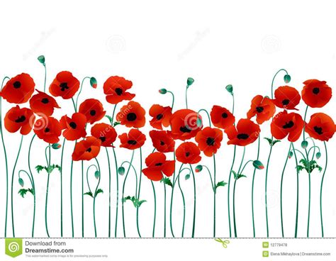 poppies poppy images red poppies poppy flower drawing