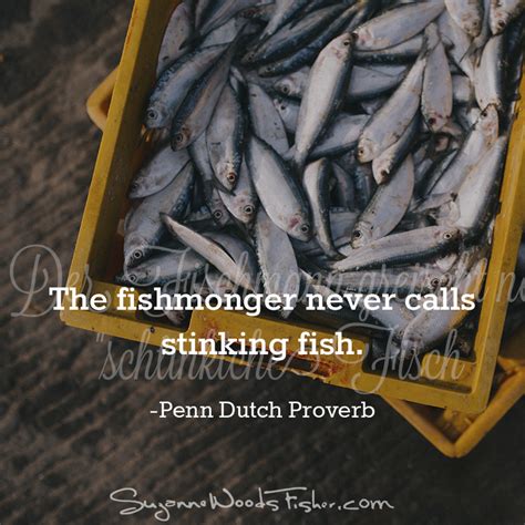 penn dutch proverbs stinking fish suzanne woods fisher