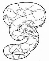 Boa Constrictor Drawing Clipartmag sketch template