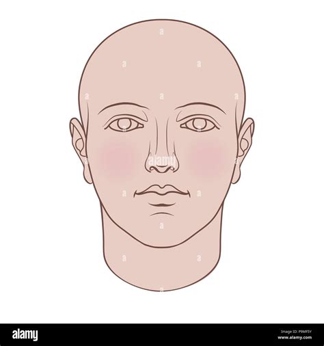 hand drawn human head  face flat vector isolated  white background