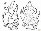 Jackfruit Dragon sketch template