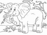 Elefant Malvorlage Besuchen sketch template