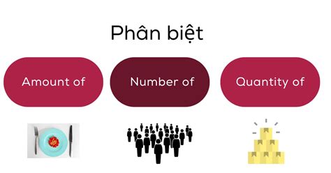 phan biet amount  number  quantity  zim academy