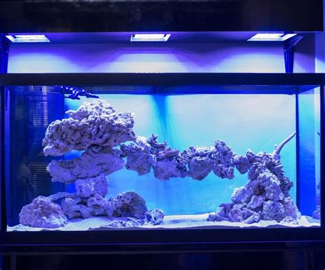 gallon reef tank aquascape ideas aquascape ideas