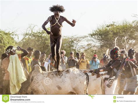 Young Man Jumps Of The Bulls Turmi Omo Valley Ethiopia Editorial