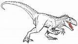 Indominus Dinosaur Jurassic sketch template