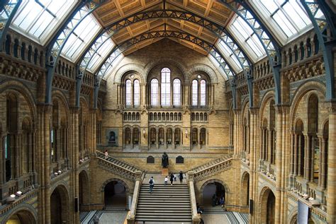 natural history museum dinosaurs fossils exhibits britannica